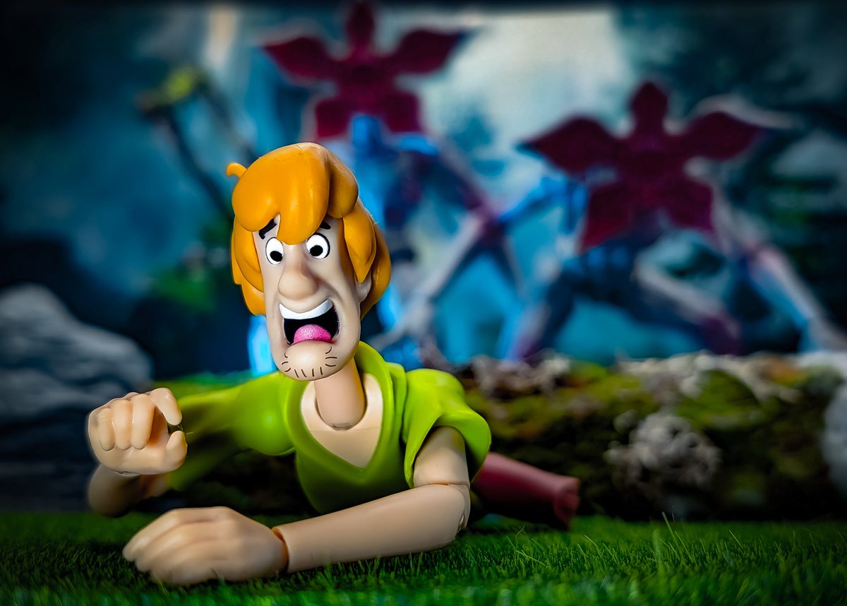 Stan.sadventures99 tweet media