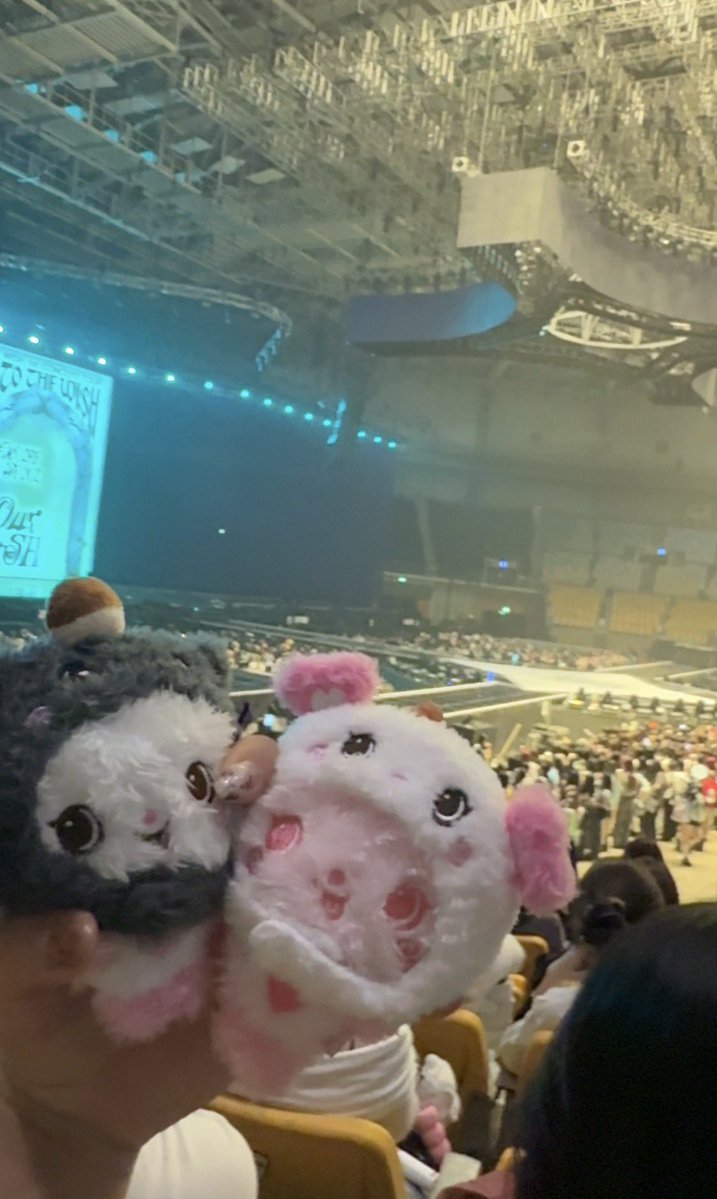 아기됫이 tweet media