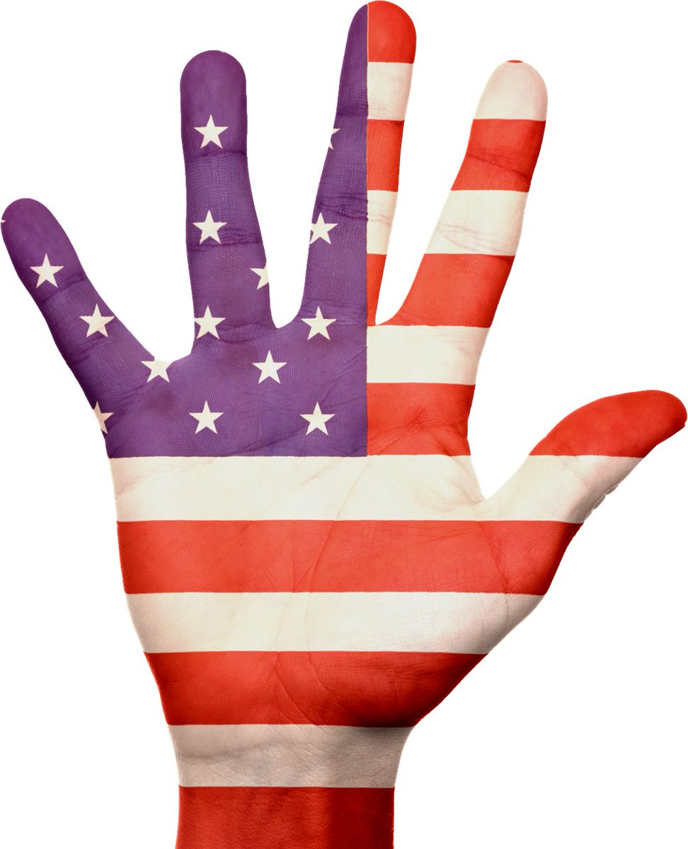 Falcon-118 tweet media