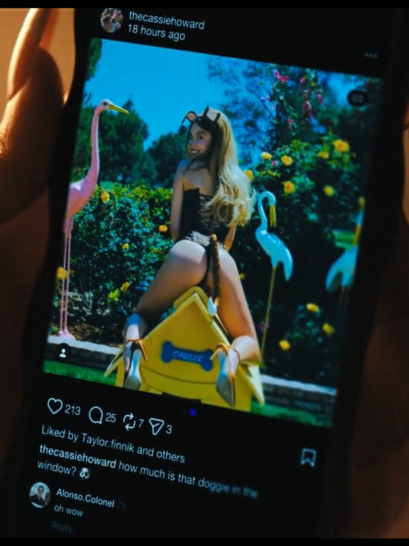 she did all that shit for 213 likes 😭😭😭😭😭