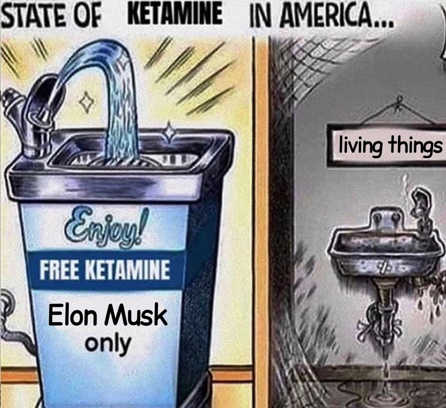 Gregathy tweet media