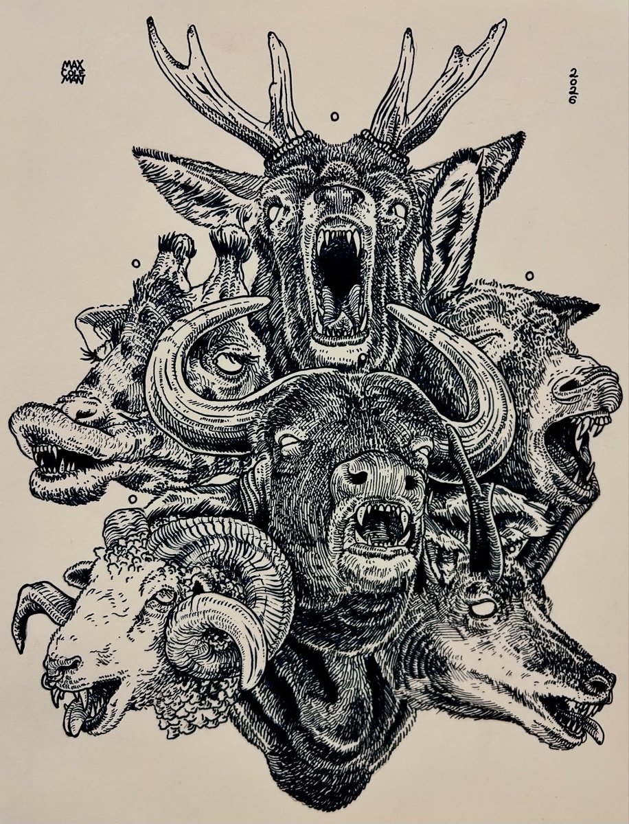 cleop47bot's tweet image. Lost &amp;amp; Found Buffalo studies. Drawn on Irish poems from 1885 anthology. Finding the collaborative narratives through time is exhilarating. -Bloak 
•
•
#drawing #maxcolemanart #bison #buffalo #oakbloak