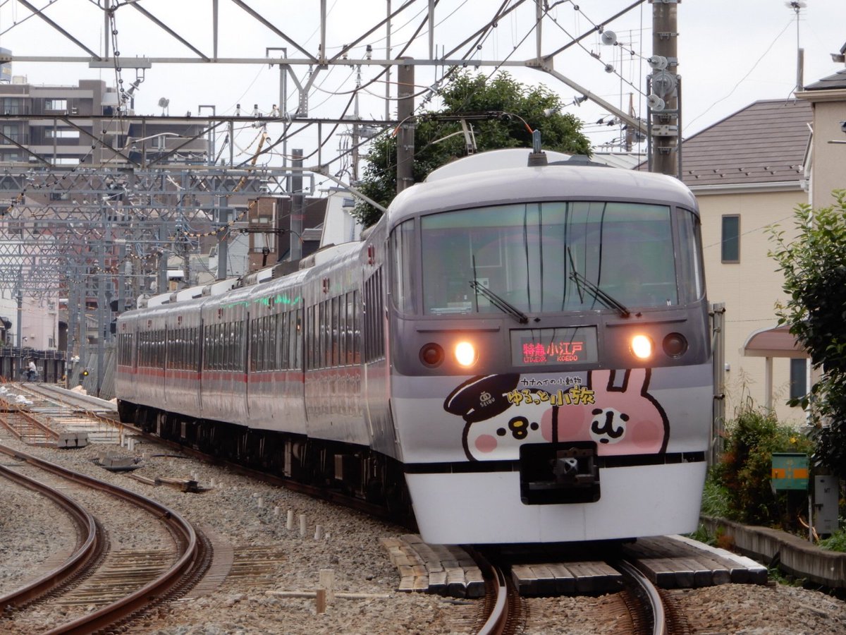 城西のうま tweet media