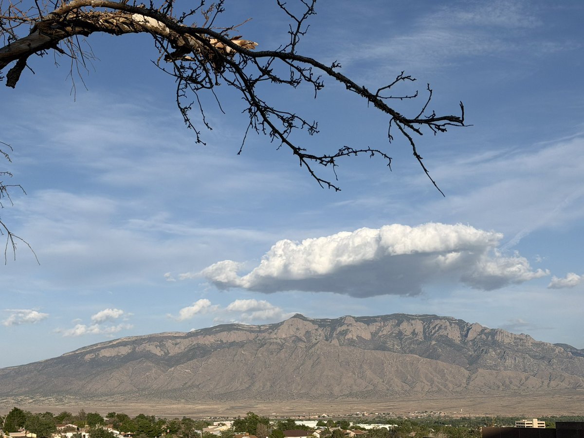 michellescotton's tweet photo. There’s something about New Mexico—the vast skies, the quiet strength of the land, the way the light settles differently here that invites me to slow down and really see. https://t.co/Oq1Ul2zs3u