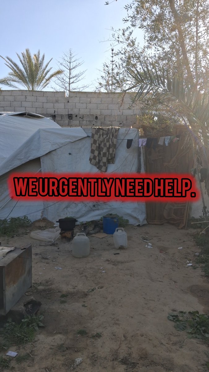 raneem__gaza's tweet photo. @theafroaussie I need your help.
University fees, food, and medicine have become too much to handle alone.
Any support can change everything. 🤍
#Gaza #HelpGaza #Urgent #Support https://t.co/MpTgsME6Mo