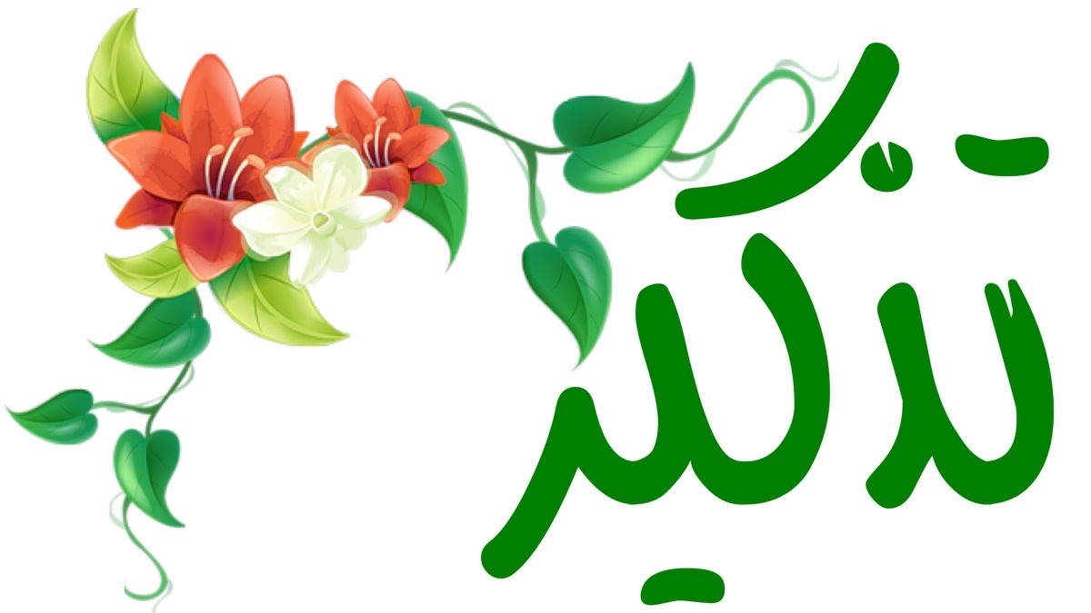 نوال البشري 🇸🇦🌴 tweet media