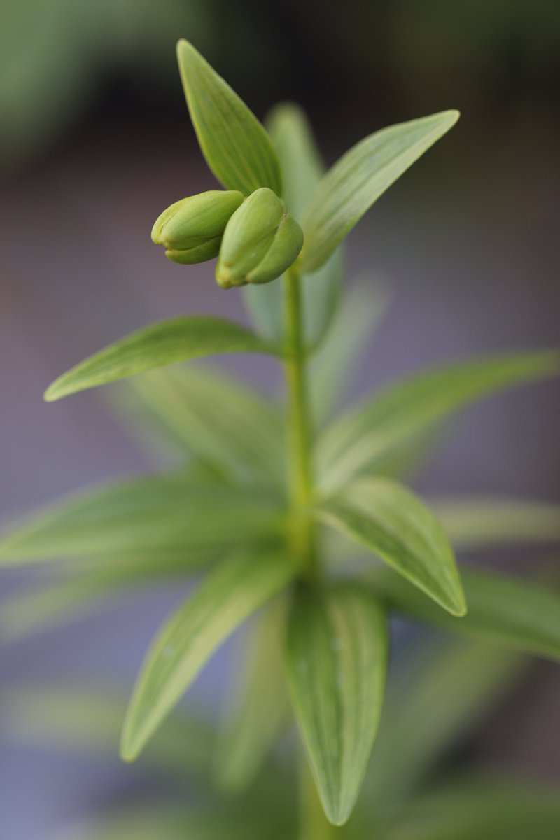 ちゅんた𓅱 tweet media