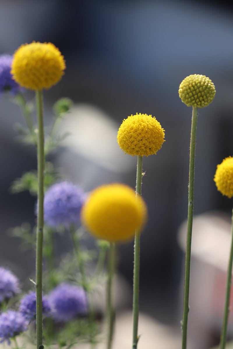 ちゅんた𓅱 tweet media