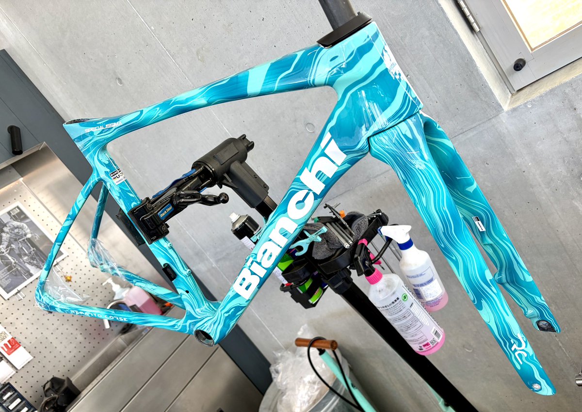 ネコザメ川崎@一梨乃みなぎ tweet media