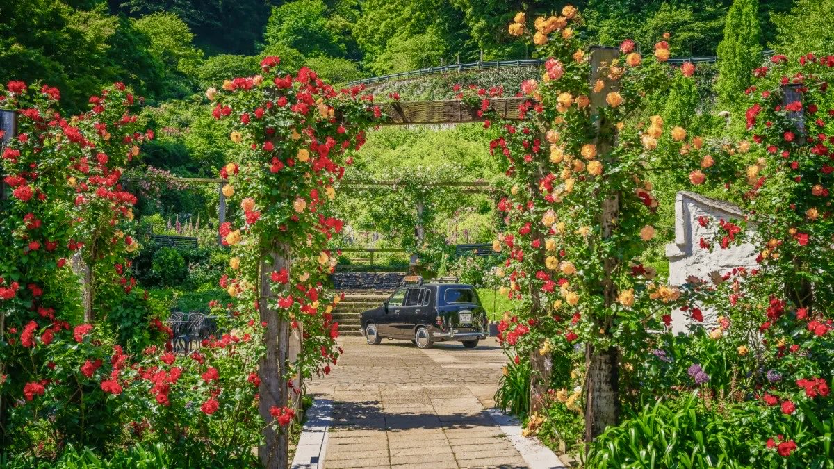 極上の旅図鑑 tweet media