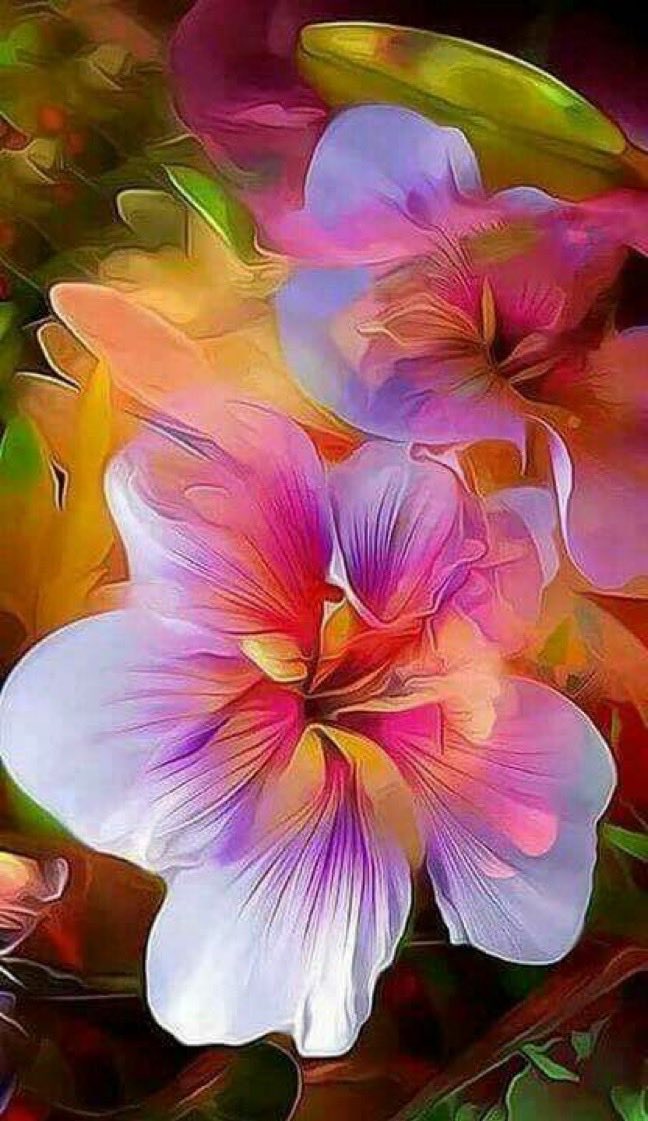 MARIALUISAMAR5's tweet photo. Wonderful Colors https://t.co/J8oQWWvI25