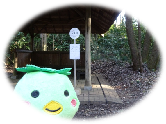 今日は買い物をしてベランダの大掃除をし、やっとキュウリを植えました。
こ、腰が痛い…😅😅😅
こんなことをして喜んでいるのはウチのカッパだけなのになぁ…🥒🥒🥒
さて、午後は新刊のチェックをして…って、いつまでやっとるんかーい！