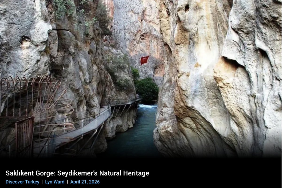 FethiyeTimes tweet media