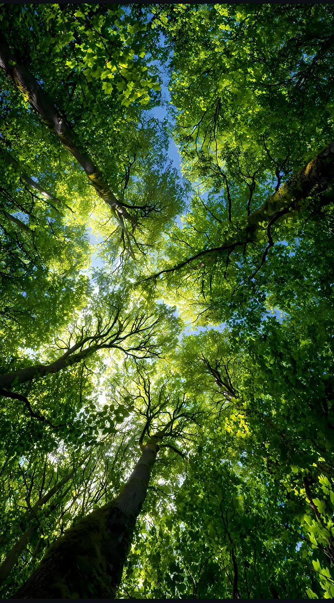 Yo beautiful people 
Enjoy the view 
Gm