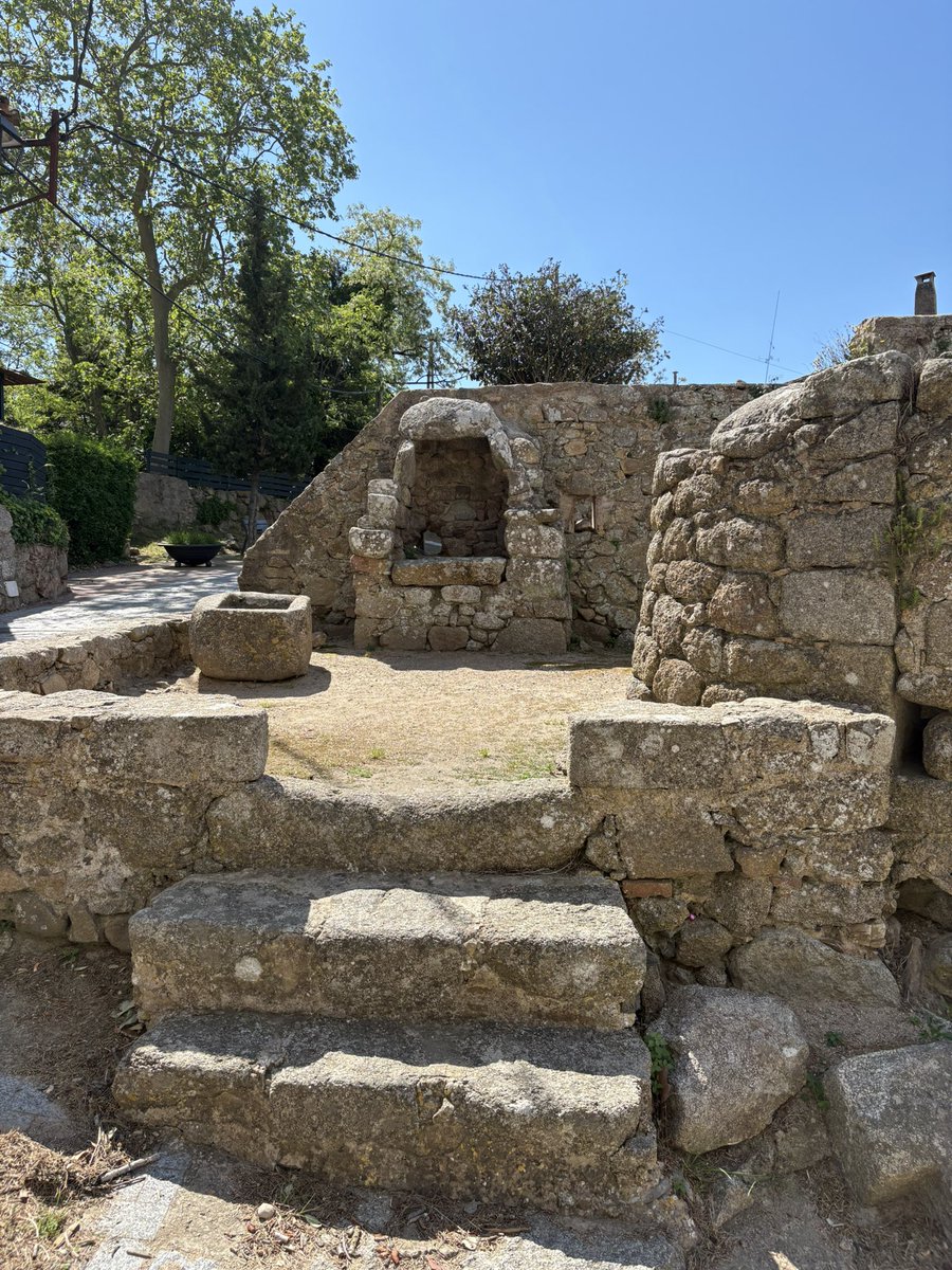 Mariàngela Vilallonga tweet media