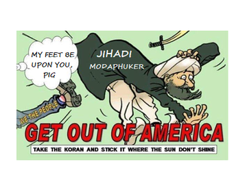 Vin Taylor tweet media