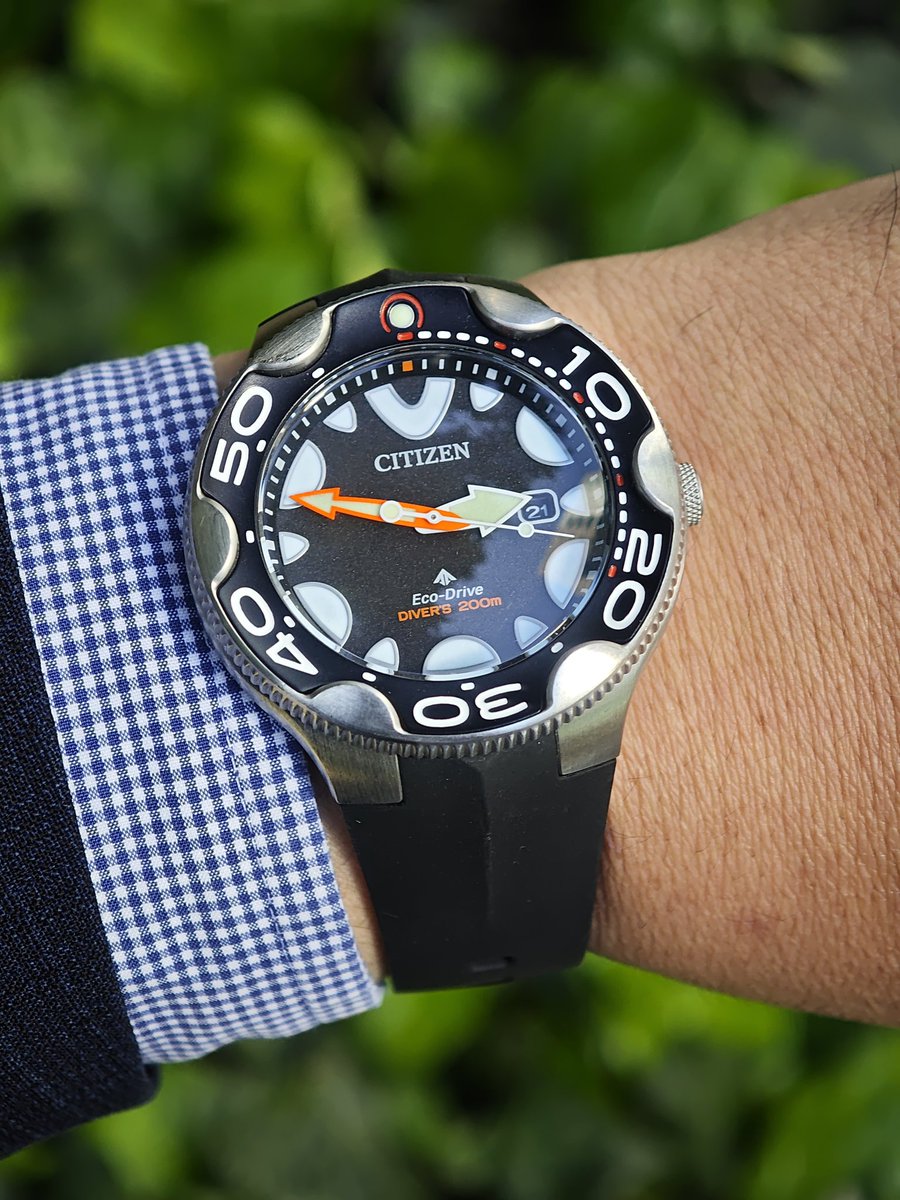 tamukun's tweet image. 日本では、ディスコンみたいですね。タフでかわいい、通称「オルカ」さん良いです。 #CITIZEN  #シチズン  #PROMASTER