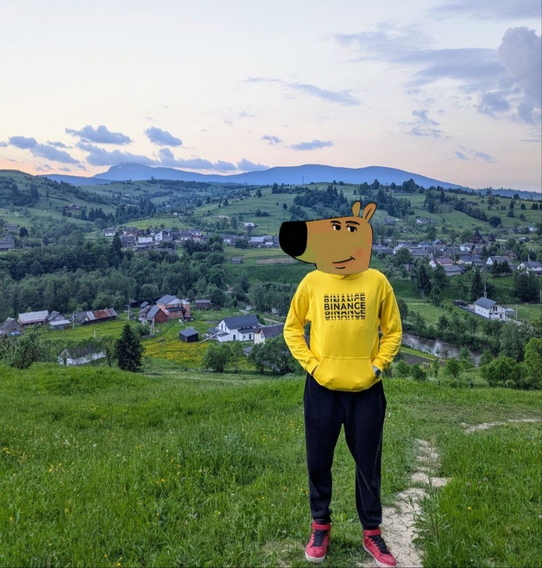 ktkjRem3To48748's tweet image. #chillguy
@binance