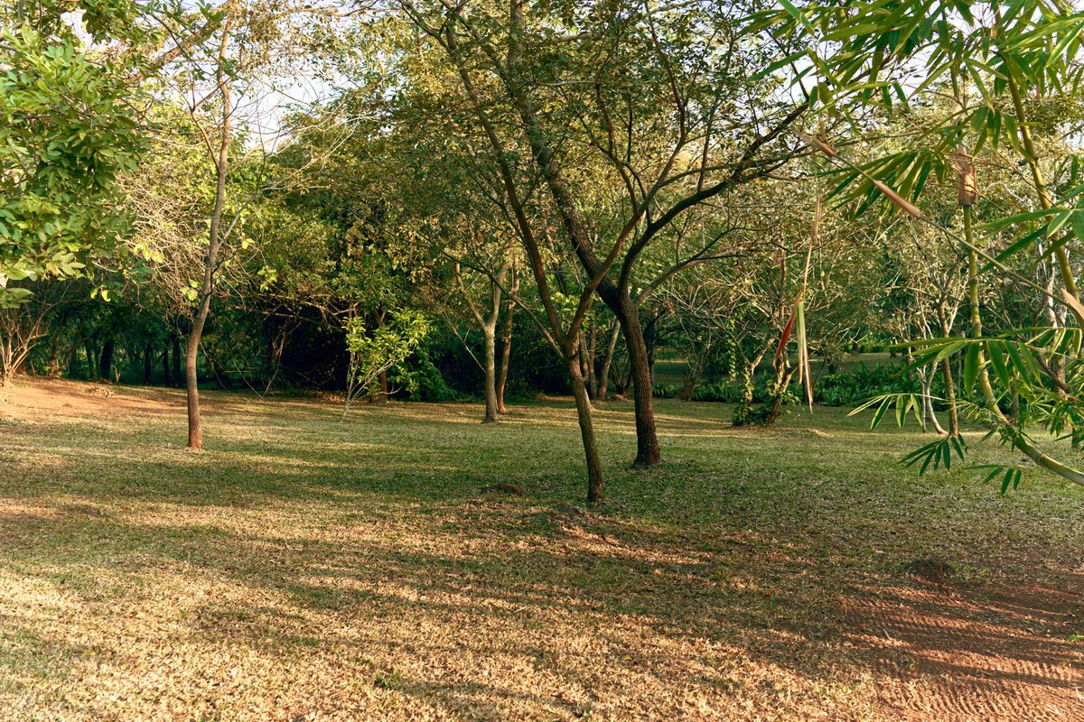 IgwaraLodge's tweet image. Space to breathe, think, and just be in the moment 🌱

 #SerenityNow | #CalmLiving