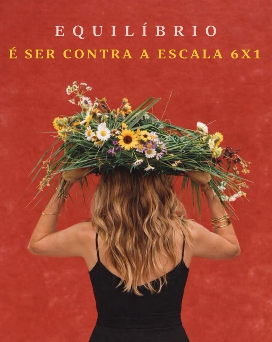 Rachel Sheherazade tweet media