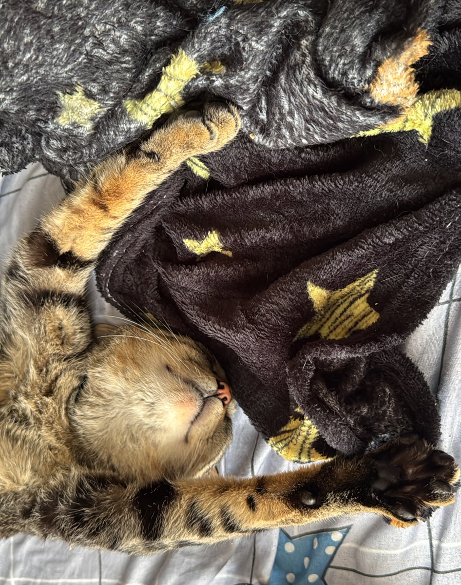 ballerina nicotina (@ayanamibleeh) on Twitter photo 