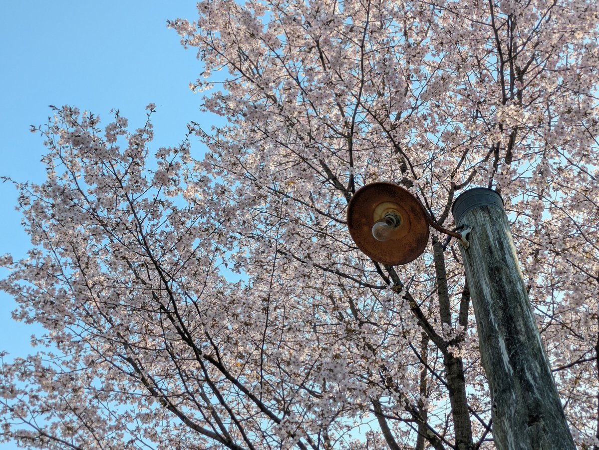 遠野ふるさと村 tweet media