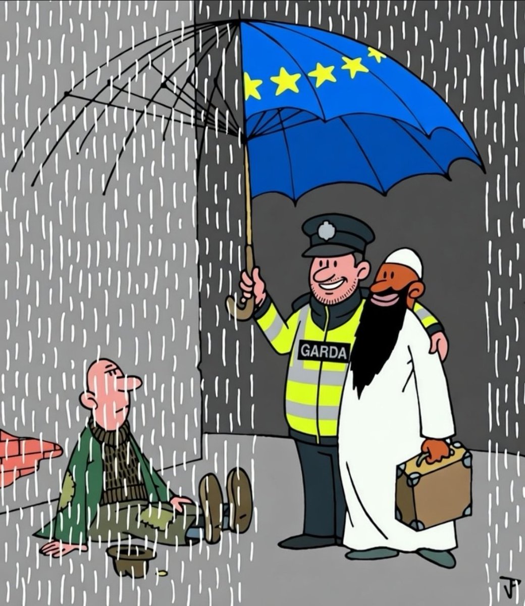 General Fluffy Pillows 🇮🇪 tweet media