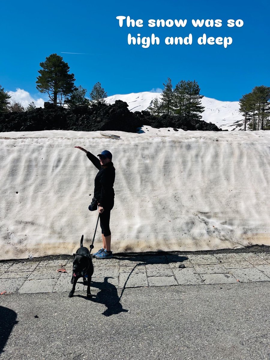 SicilyConcierge's tweet image. Snow day on Etna ☃️

Currently on my #Sicily #Blog
WHY I LOVE SPRING IN SICILY
whitealmond-privatesicily.blogspot.com/2026/03/why-i-…