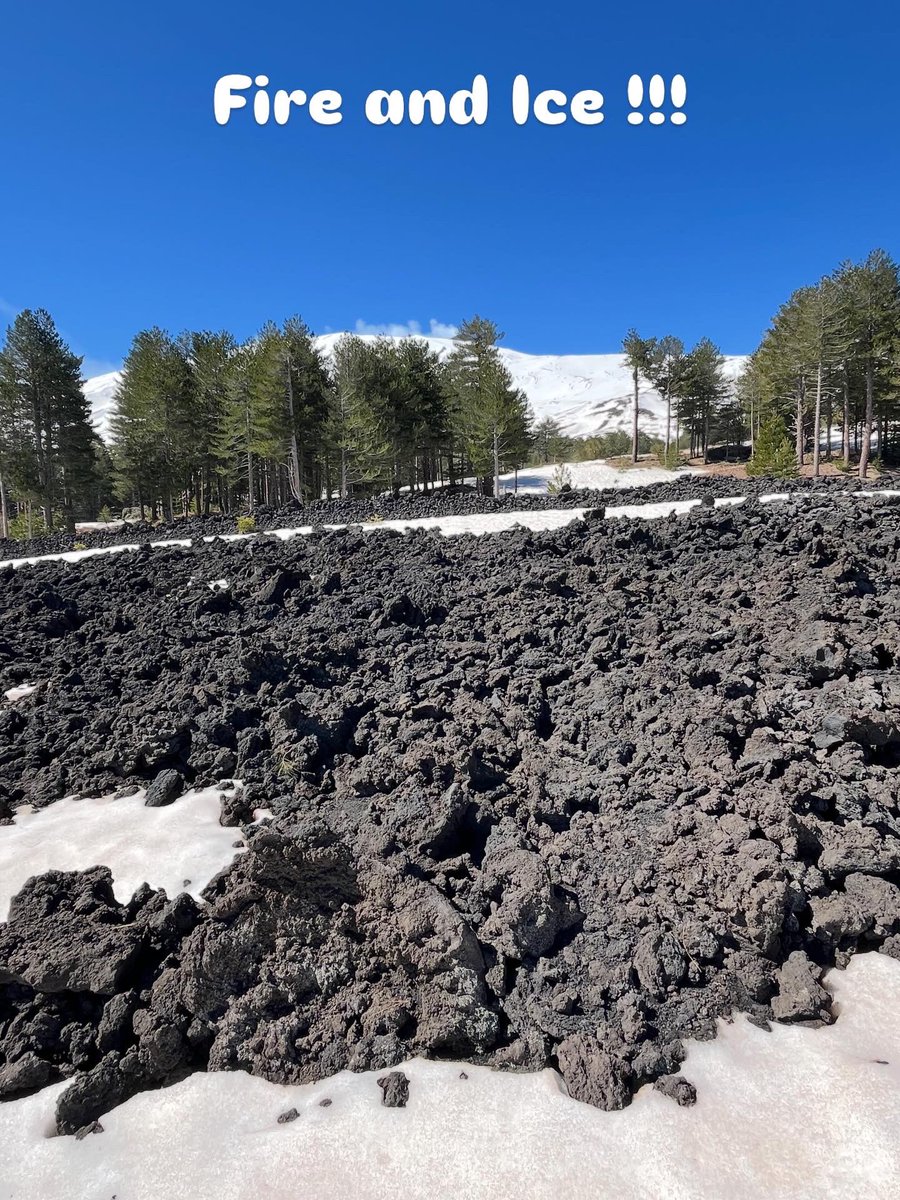 SicilyConcierge's tweet image. Snow day on Etna ☃️

Currently on my #Sicily #Blog
WHY I LOVE SPRING IN SICILY
whitealmond-privatesicily.blogspot.com/2026/03/why-i-…