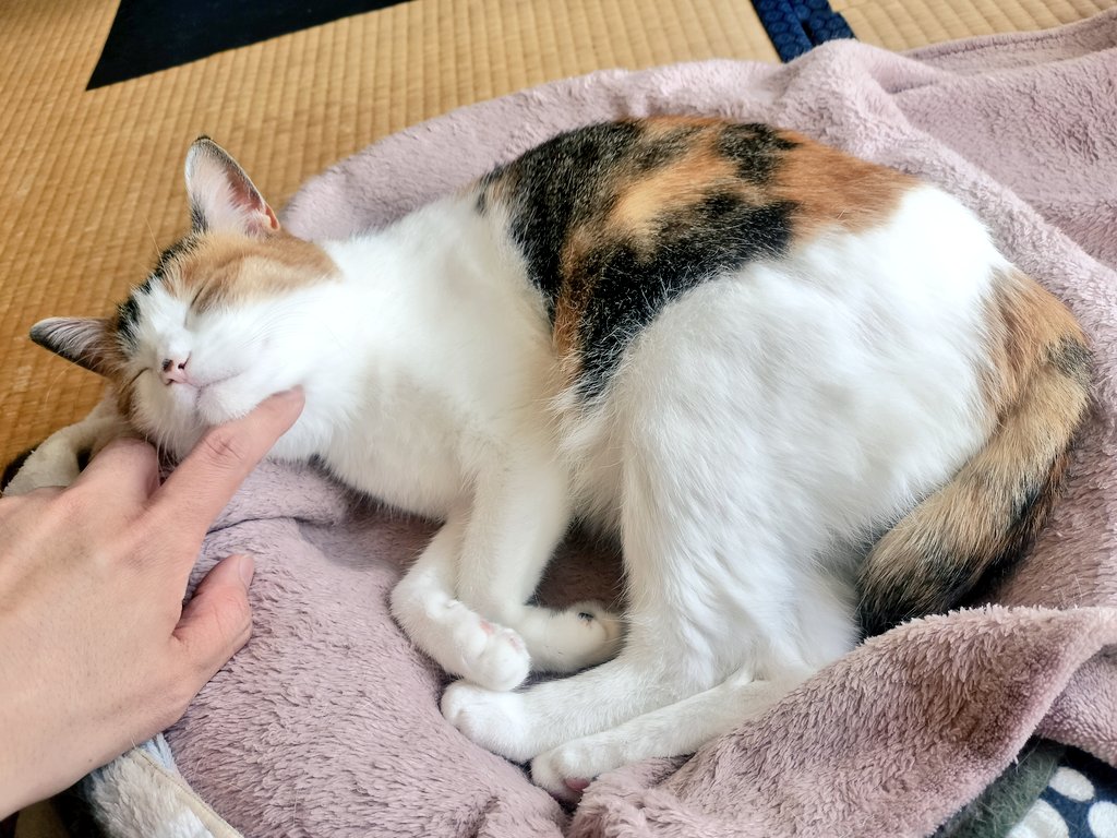 らら暮らし tweet media