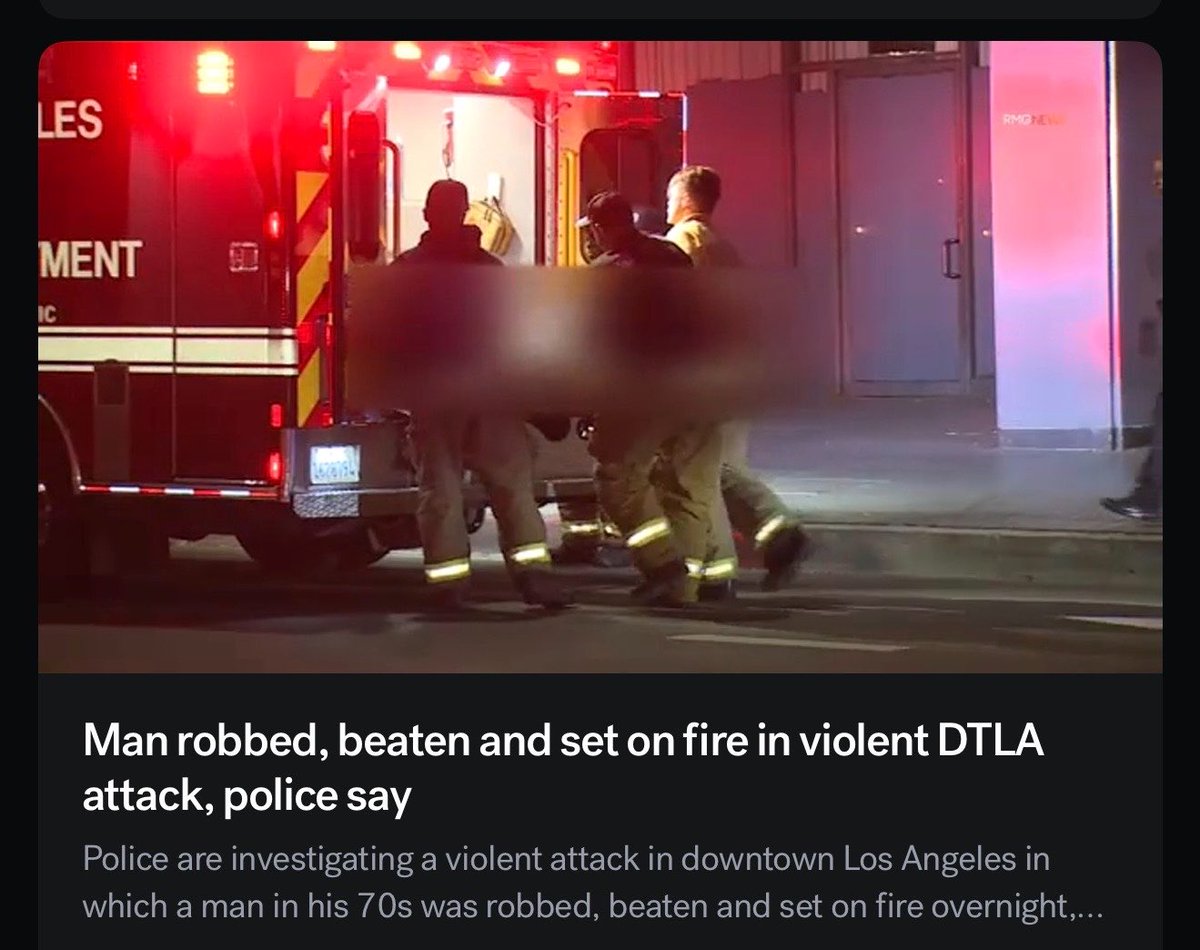 Stella X tweet media