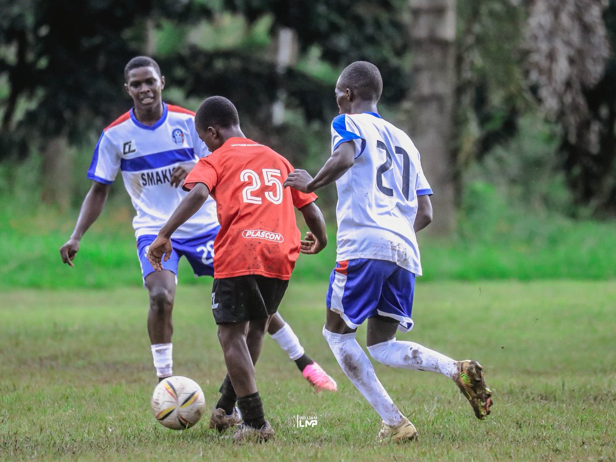 WILLIAM LMP tweet media