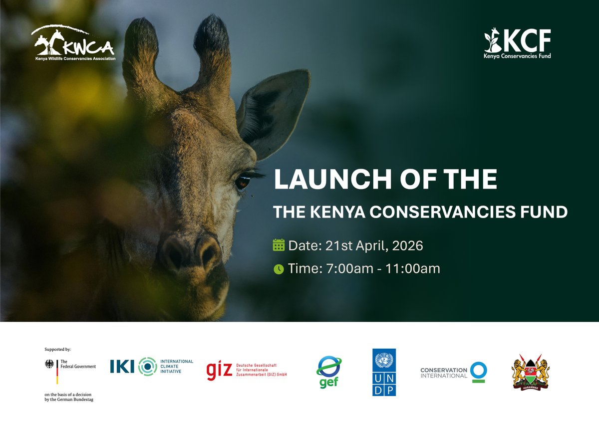 KWCAKenya's tweet photo. “It is not capacity that communities lack, but access to the right kind of funding and partners.” - Dickson Ole Kaelo
Conservancies have the space, what they need is to be financed  well to make them effective.
This is  why we are launching the Kenya Conservancies Fund.
It is an opportunity to come together for a common goal to preserve a shared resource.