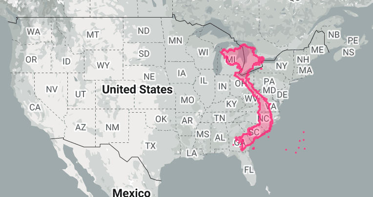 molson 🧠⚙️ tweet media