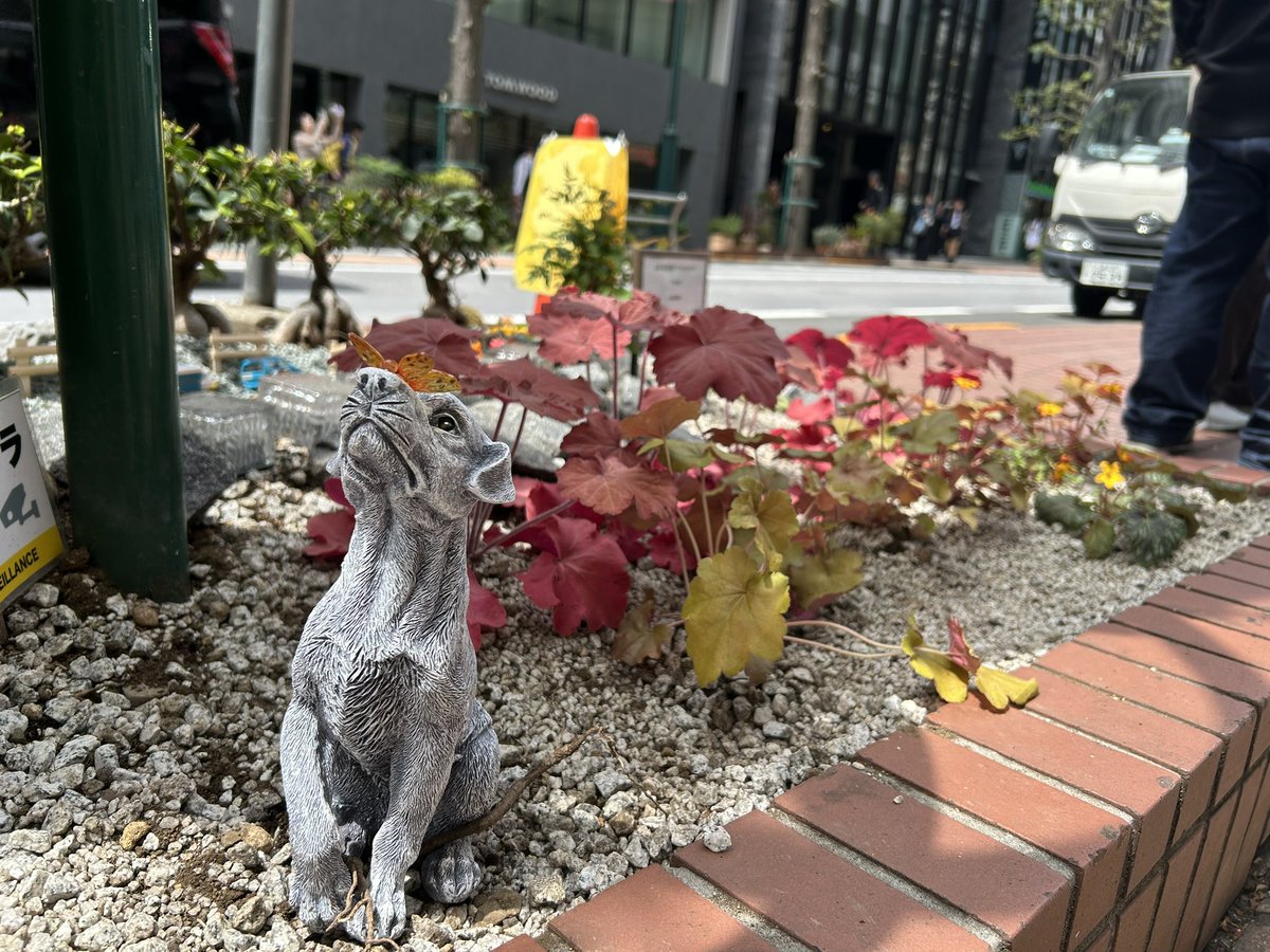 olly(オリー) tweet media