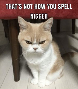 Vin Taylor tweet media