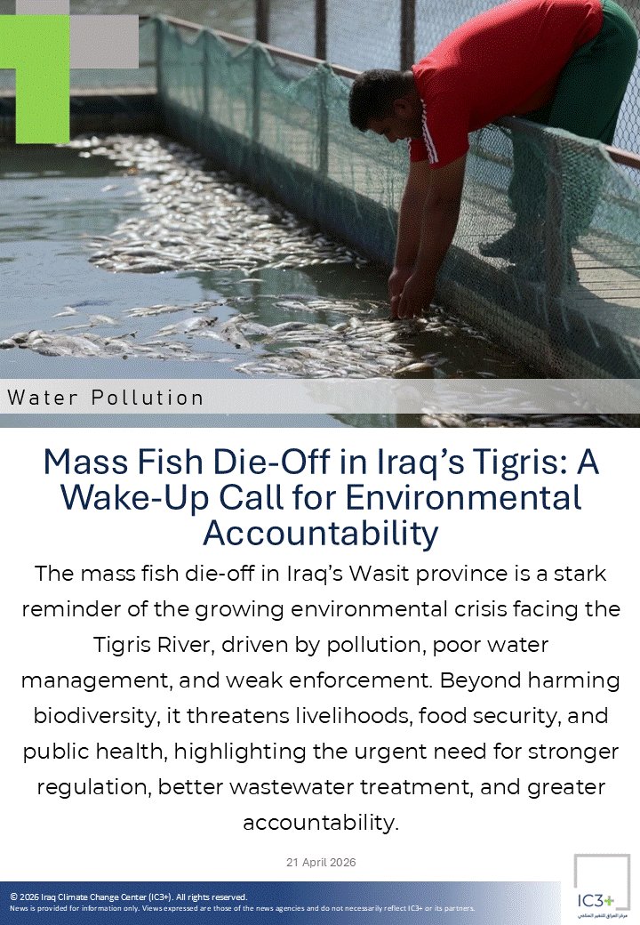 ICCCPlus's tweet photo. Mass Fish Die-Off in Iraq’s Tigris Raises Environmental Alarm
#Iraq #TigrisRiver #Environment #WaterCrisis #Pollution #Sustainability #PublicHealth #ClimateChange https://t.co/H3jc2ab7DD