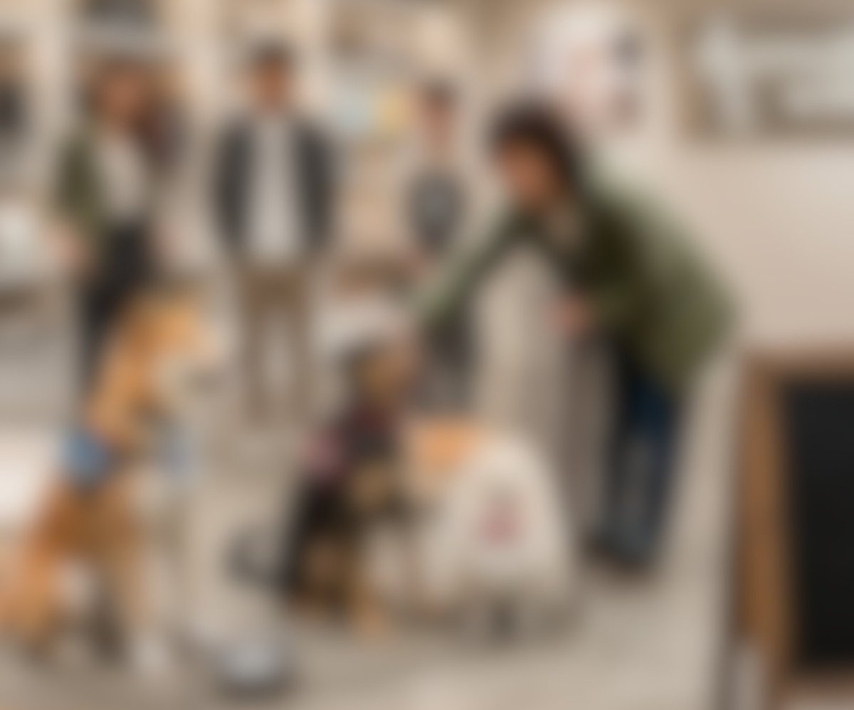 とある保護団体を謳っている施設の内部の人に聞いた話
「救ってる」って言ってる裏で、
売れ残りが回ってる。
引退犬という綺麗な名前に変えて、
乱繁殖の過去を隠して、
【可哀想】で価値を上げる。

それ、
保護じゃなくて
ただのリブランディングじゃない？

こういうの、