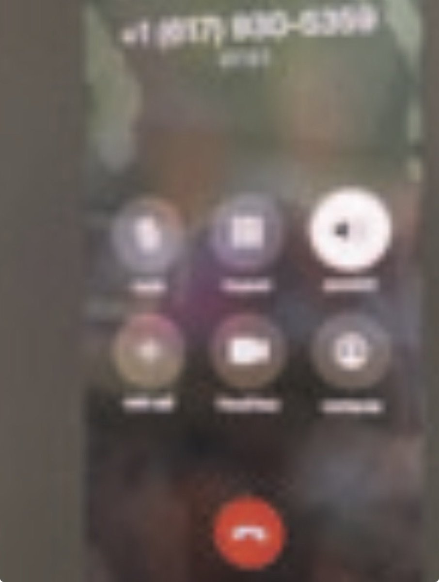 Not Hailey Walbrecht tweet media