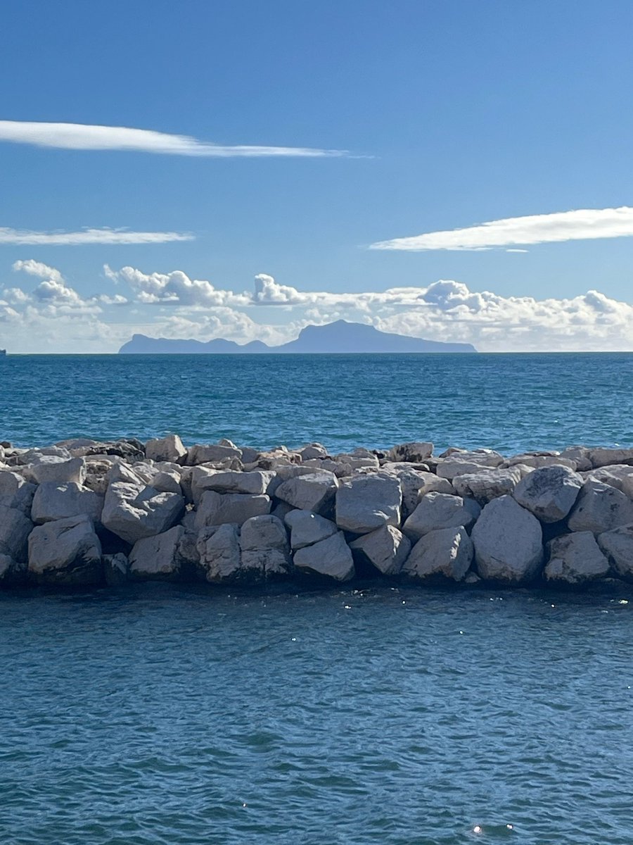 Anna Maria tweet media