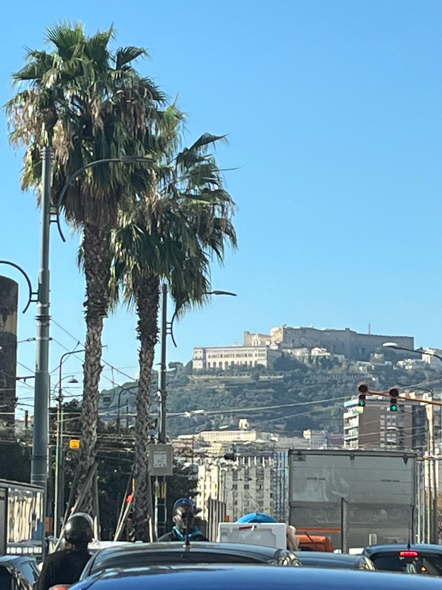 Anna Maria tweet media