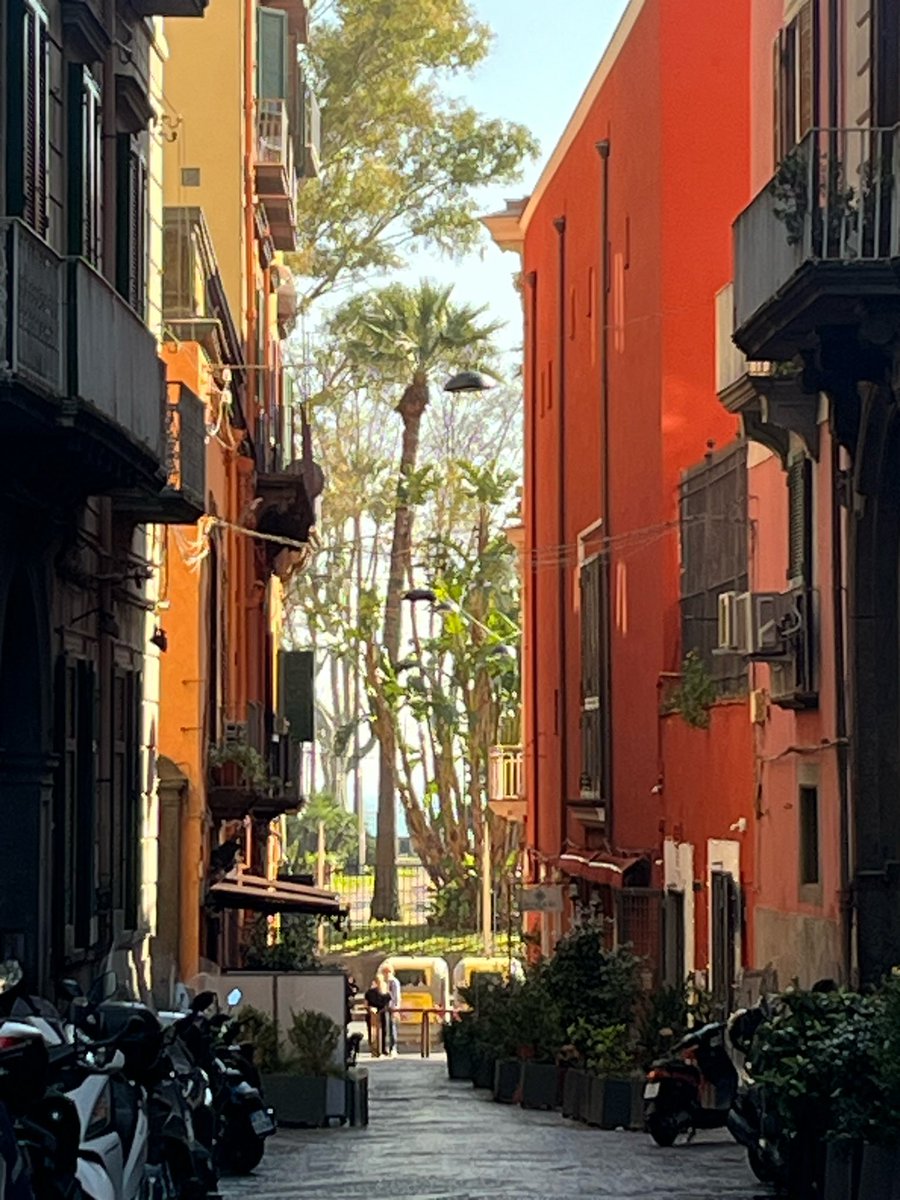 Anna Maria tweet media