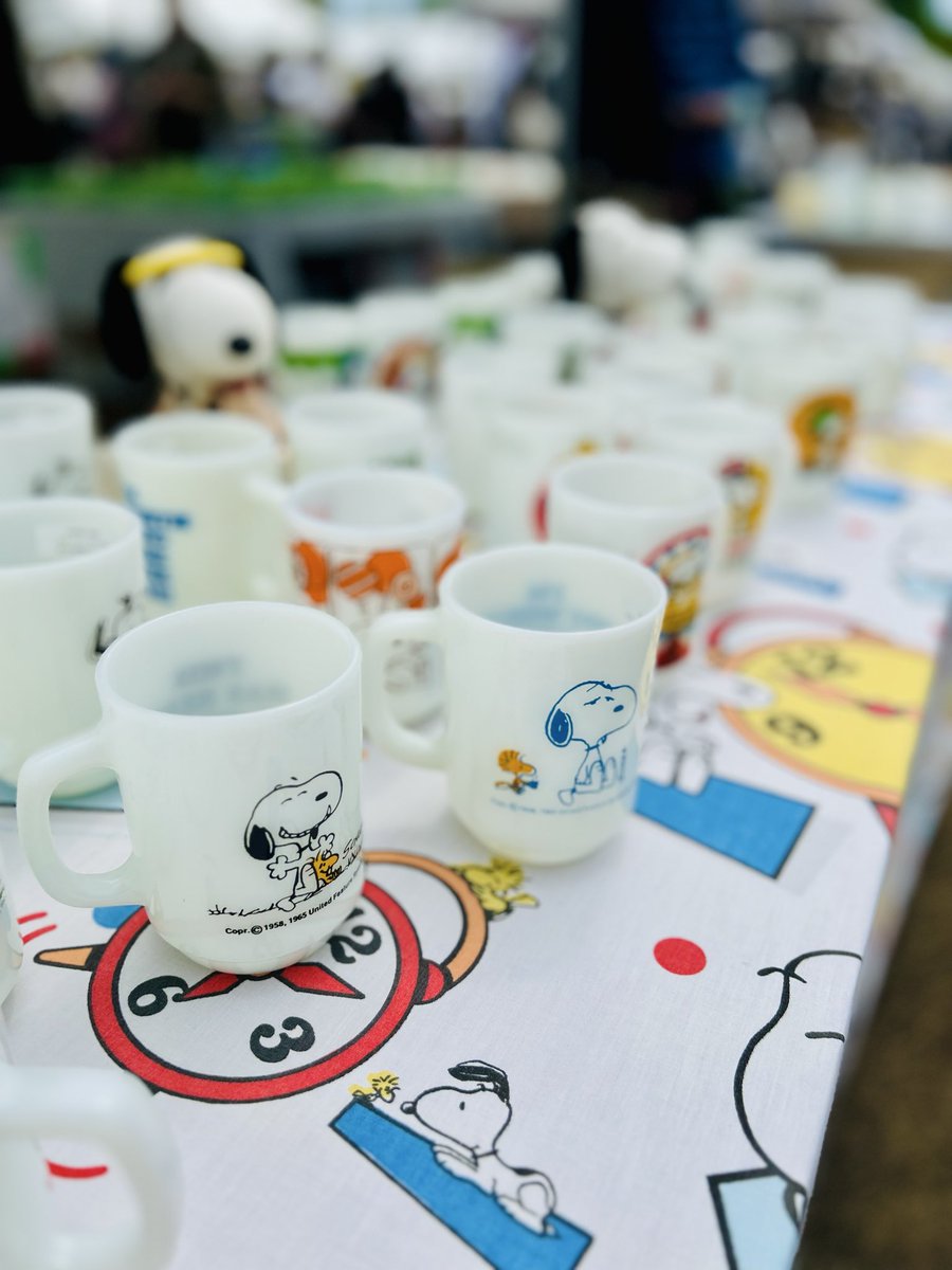 KSR Baja tweet media