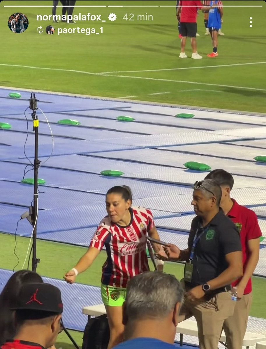 Mar Jaramillo-Cervants tweet media