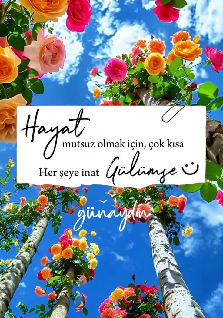 Yaşar Vural tweet media