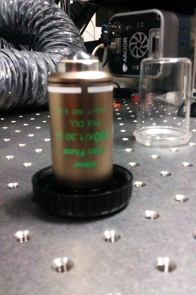 AthaleLab's tweet image. 7/n from 2013 we started to get serious grants from #d, to take our experiments to another level. Here is the workhorse kf the lab #nikonbt grateful for the generosity of @DBTIndia when #funds were plenty and #delays were few