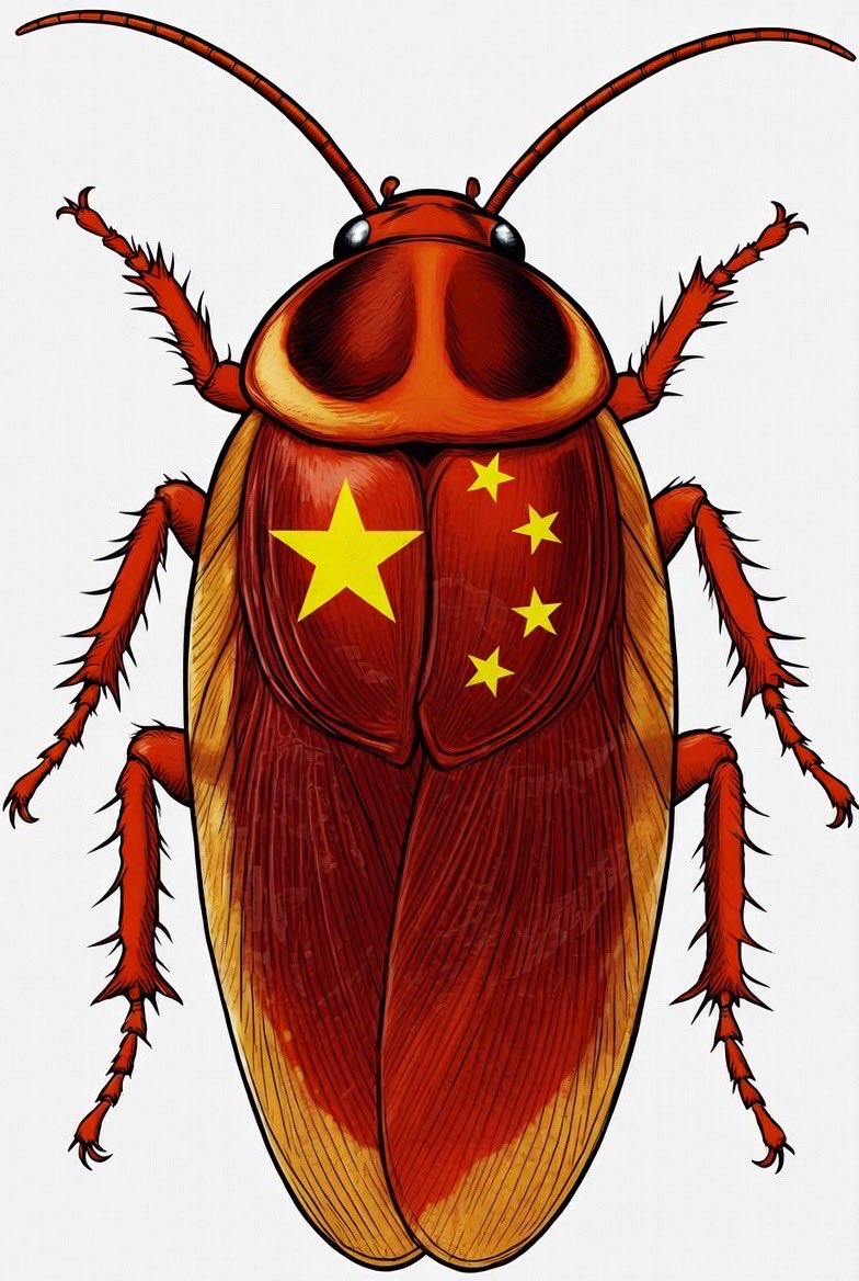 世界历史宝爷 tweet media