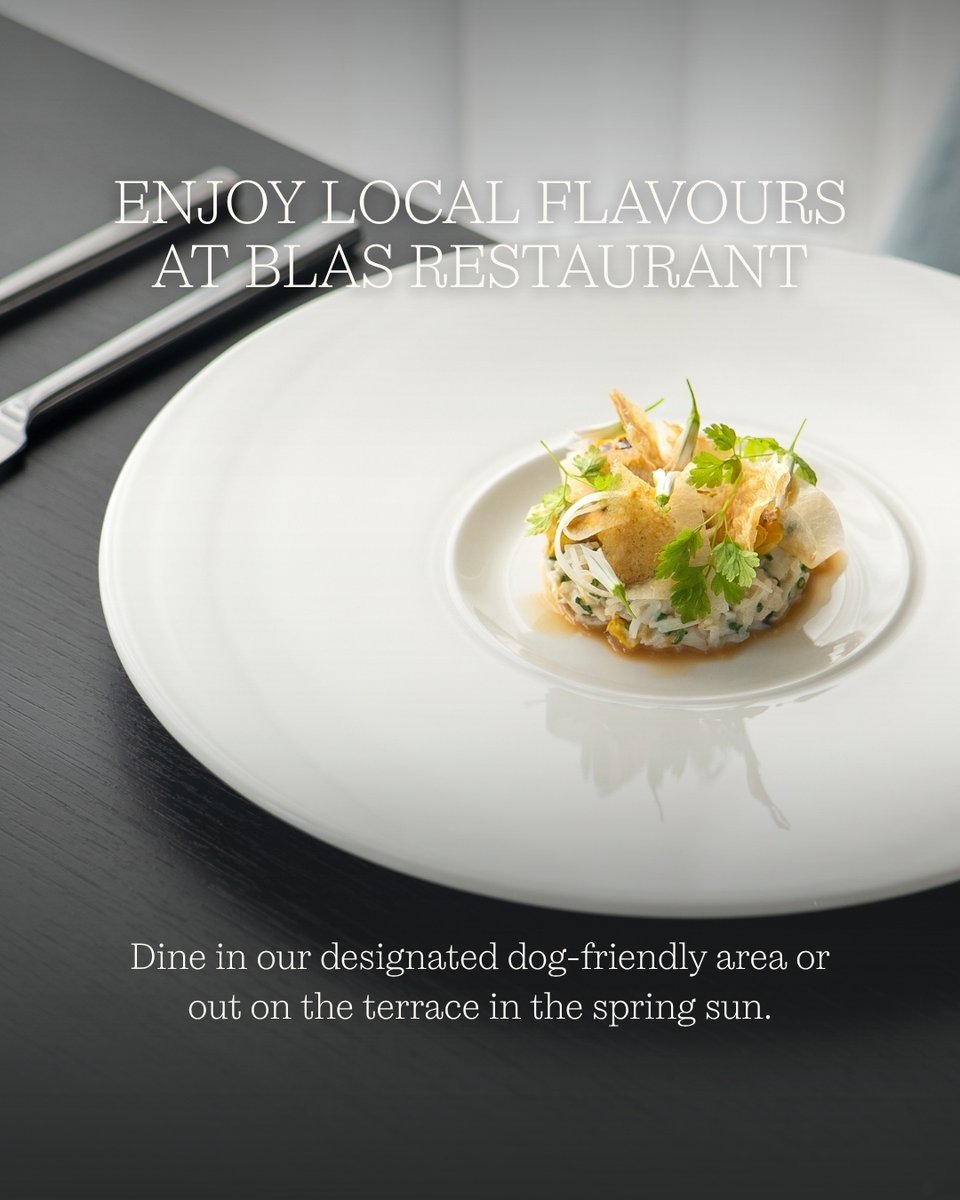 TwrYFelin's tweet image. It’s been wonderful welcoming so many four-legged friends recently, especially with this beautiful spring weather.

Our full dog-friendly guide to St Davids is available on our website, perfect for planning your next stay.

#twryfelinhotel #pembrokeshire #dogfriendly