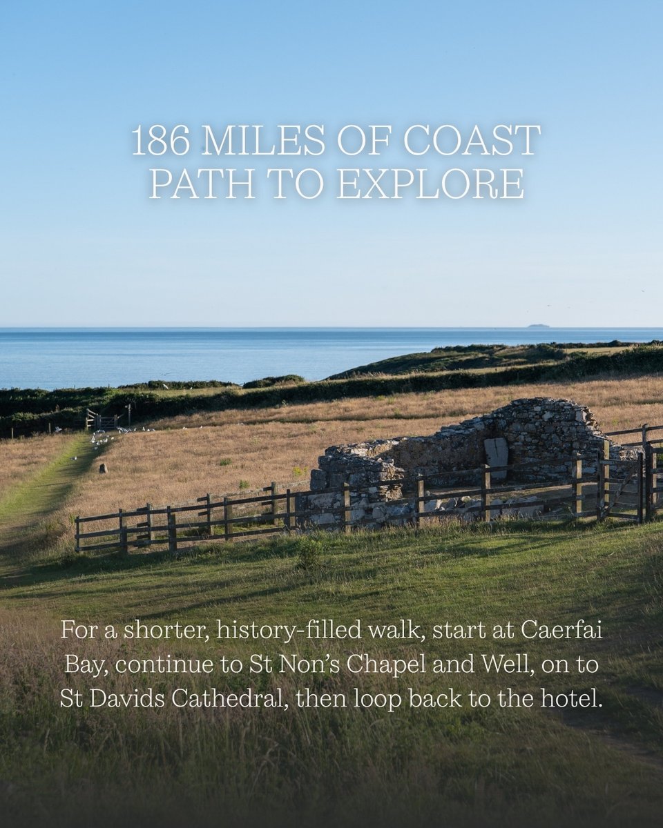 TwrYFelin's tweet image. It’s been wonderful welcoming so many four-legged friends recently, especially with this beautiful spring weather.

Our full dog-friendly guide to St Davids is available on our website, perfect for planning your next stay.

#twryfelinhotel #pembrokeshire #dogfriendly