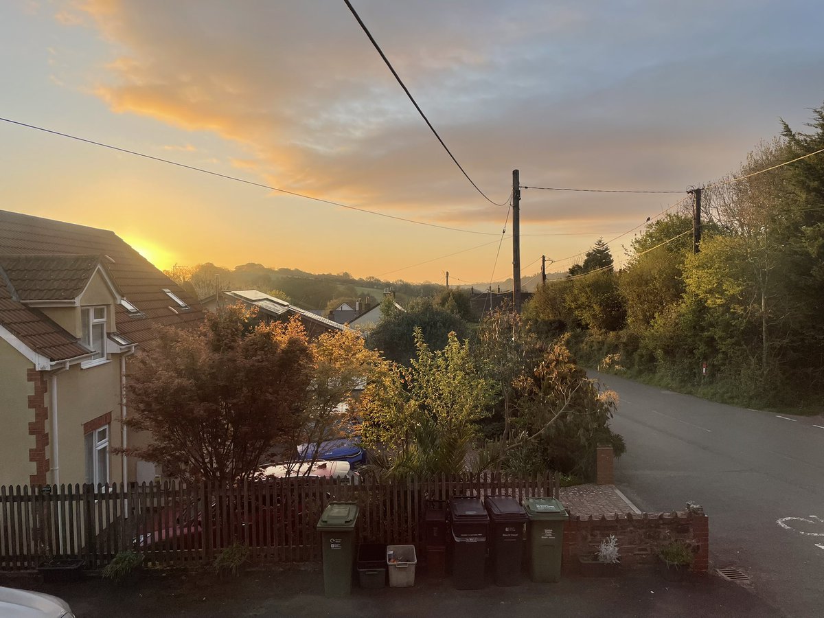 WgsCmc's tweet image. Good morning #hedgewatch #Cats #CatsonTwitter #Catsoftwitter #Catsotrb @AlysonMeadowcr1 @KimWebb44671708 @islandlyn @Foxelms @Biscuit_Meow @PoppyAndMolly2 @BrambleRamble4 @Bencat90866404 @AnnebrindleAnne